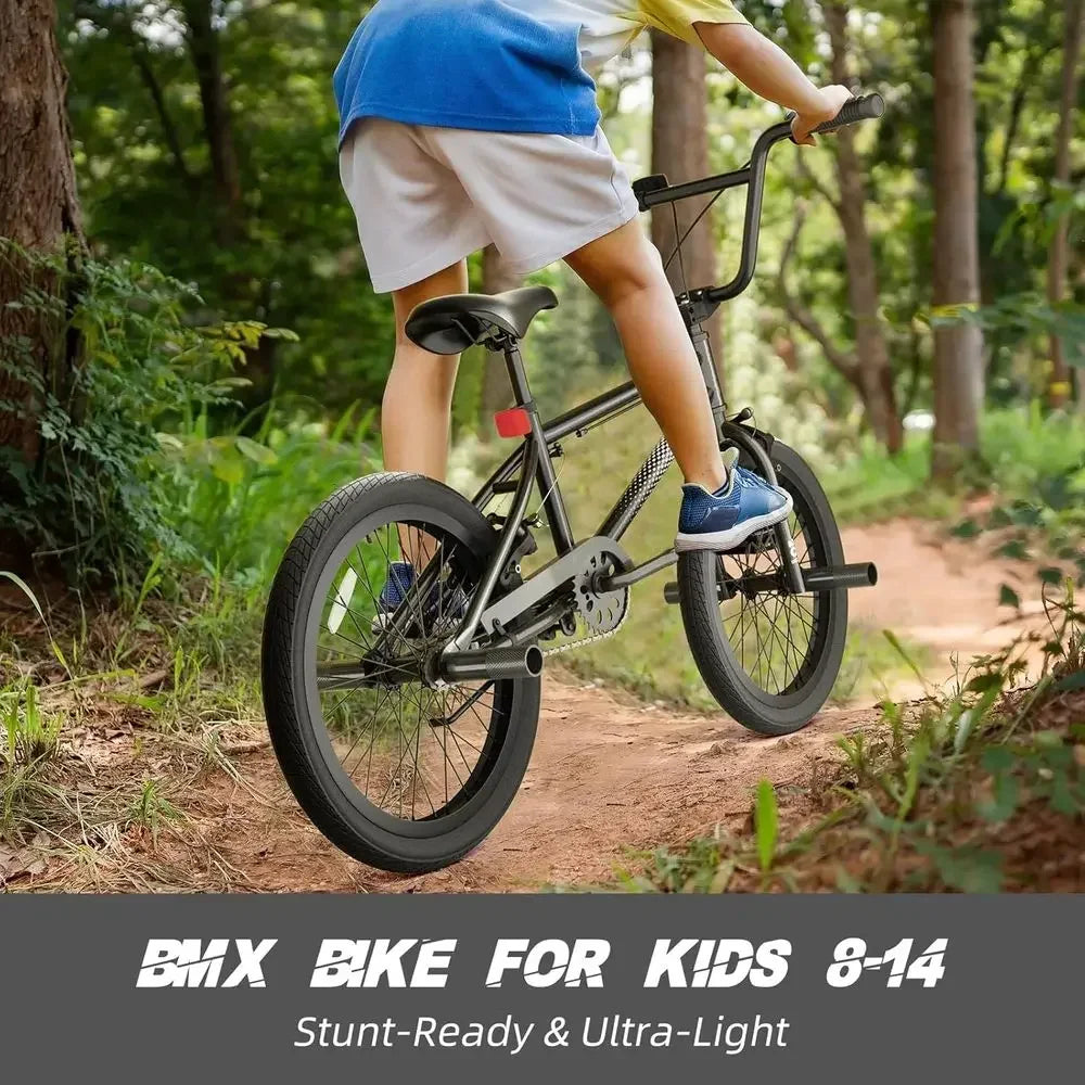 Youth BMX Bike 18-20 Inch, Ages 8-12, Adjustable Seat, Front & Rear U-Brakes, 2.09 Wide Tires
