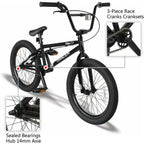 20-Inch BMX Bike for Kids: Entry to Intermediate Level, Unisex Design, Hi-Ten Steel Frame, U Brake, 2/3-Piece Crank Options