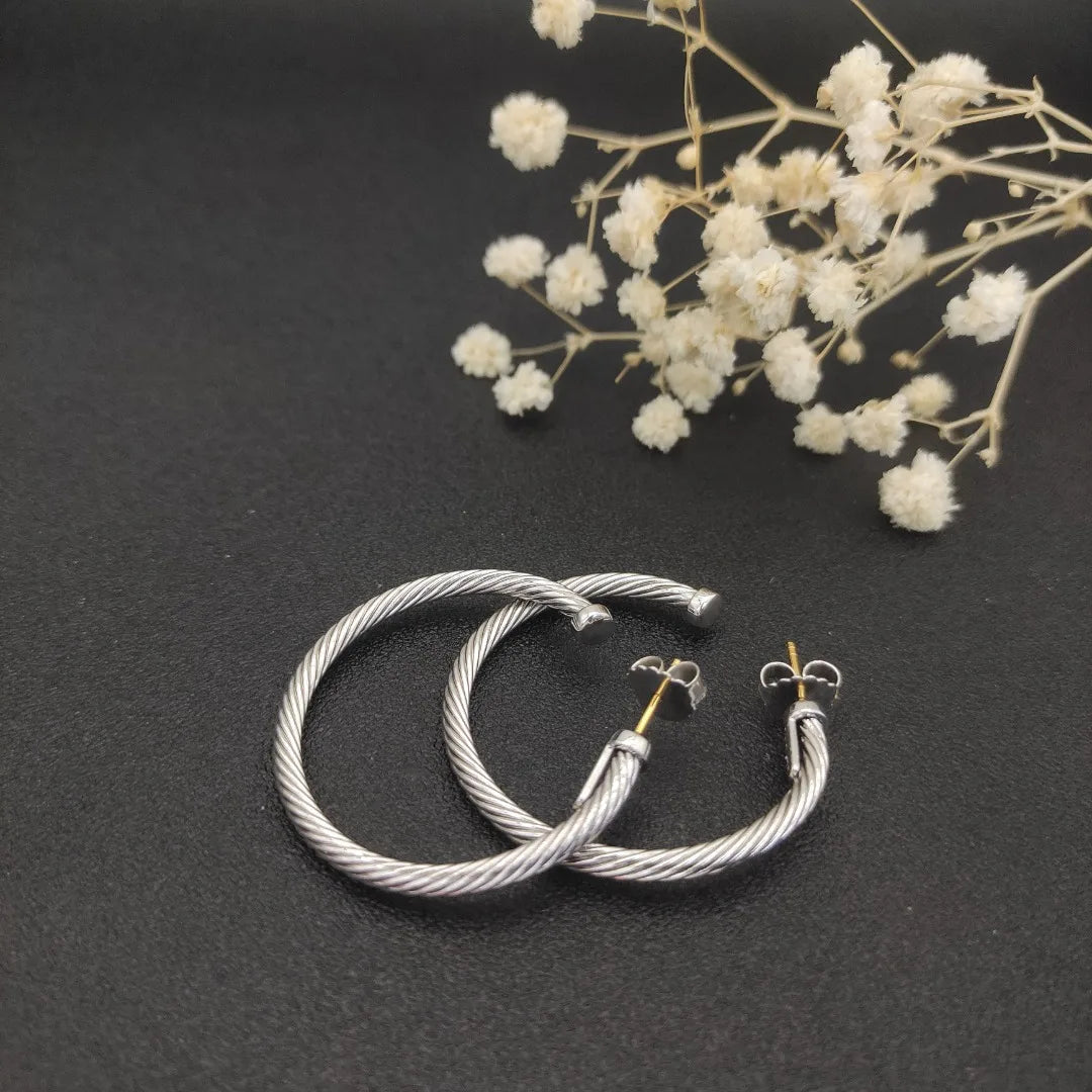 2026 New DVA High Quality Earrings Collection Luxury Trend Jewelry Gift Simple Fashion Design Valentine's Day Gifts 1