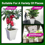 Square white pot for indoor plants, durable plastic, 7x7 base and 9 tall, pack of 50