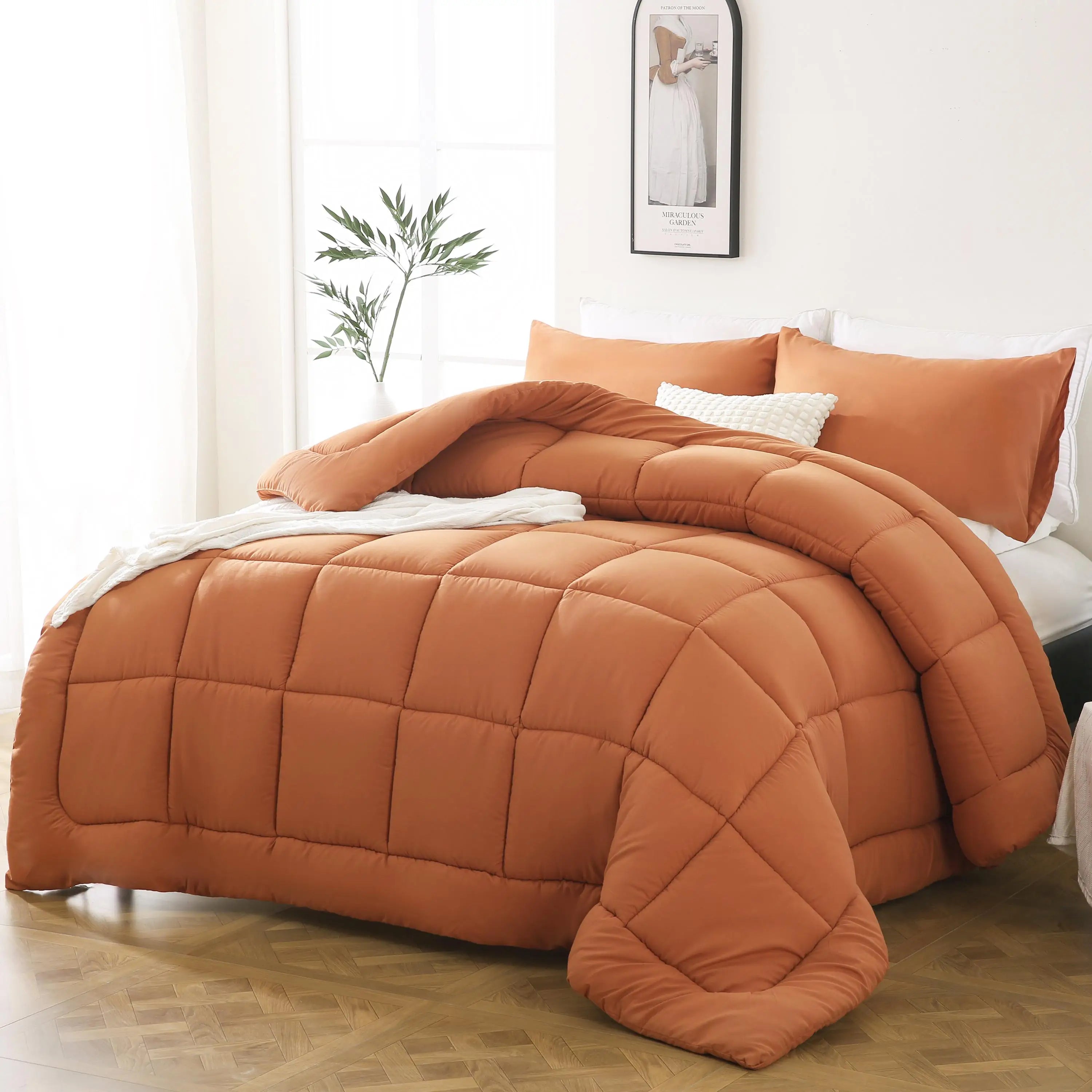 All Season Lightweight Comforter Set 3Pcs Soft Quilted Bedding Sets Box-Stitch Bed in a Bag Include 1 Comforter 2 Pillowcases Breathable Home Bedroom Textile Decor
