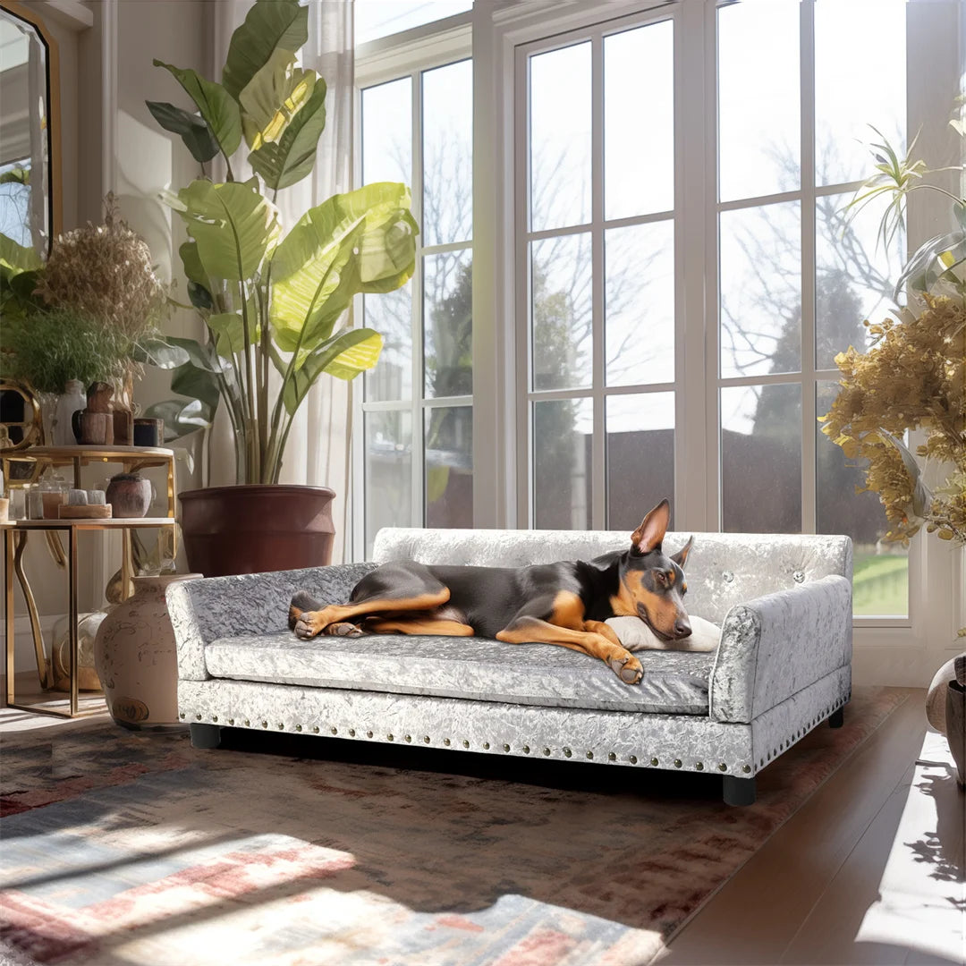 Deluxe Silver Dutch Velvet Dog Couch Bed Sofa with Removable Cushion for Medium to Large Dogs Comfortable Upholstered Pet Sofa