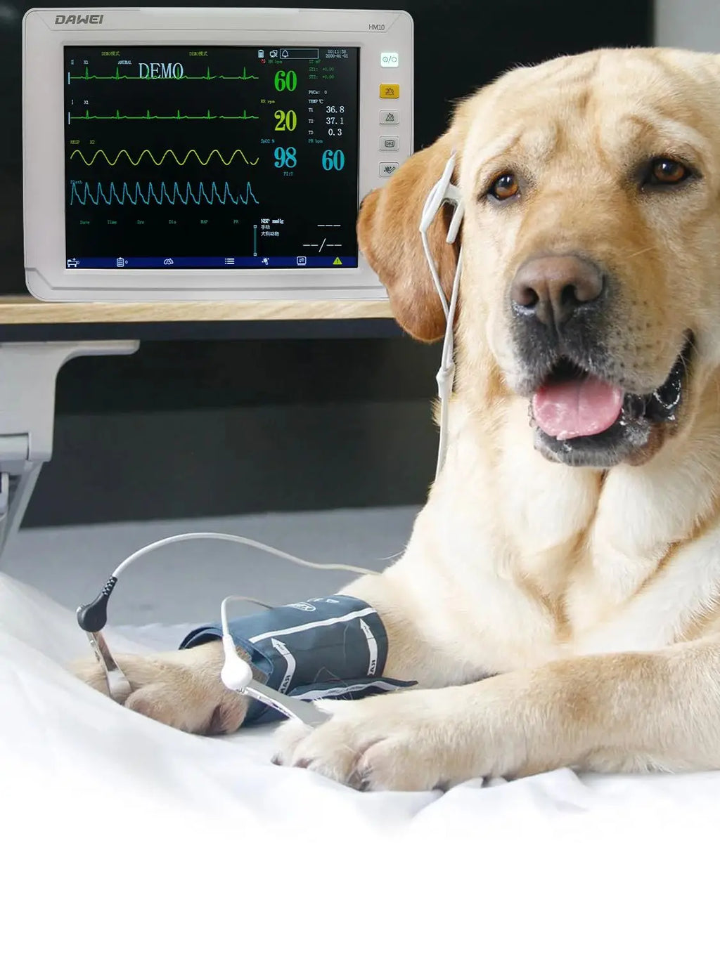 Portable Veterinary Monitor 6 Parameter, 12.1" LCD Big Screen Vet Patient for Pet Dogs Cats Animal Clinic
