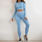 Seamless Yoga Sets Sports Fitness High Waist Hip Raise Pants Long-Sleeved Backless Suit Workout Clothes Gym Shorts Set for Women