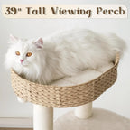 Indoor Cat Tree for Kittens, Natural Sisal, Hand - Woven Condo, 39\