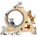 Large Silent Indoor Cat Treadmill with 6-in-1 Exercise Wheel and Furniture